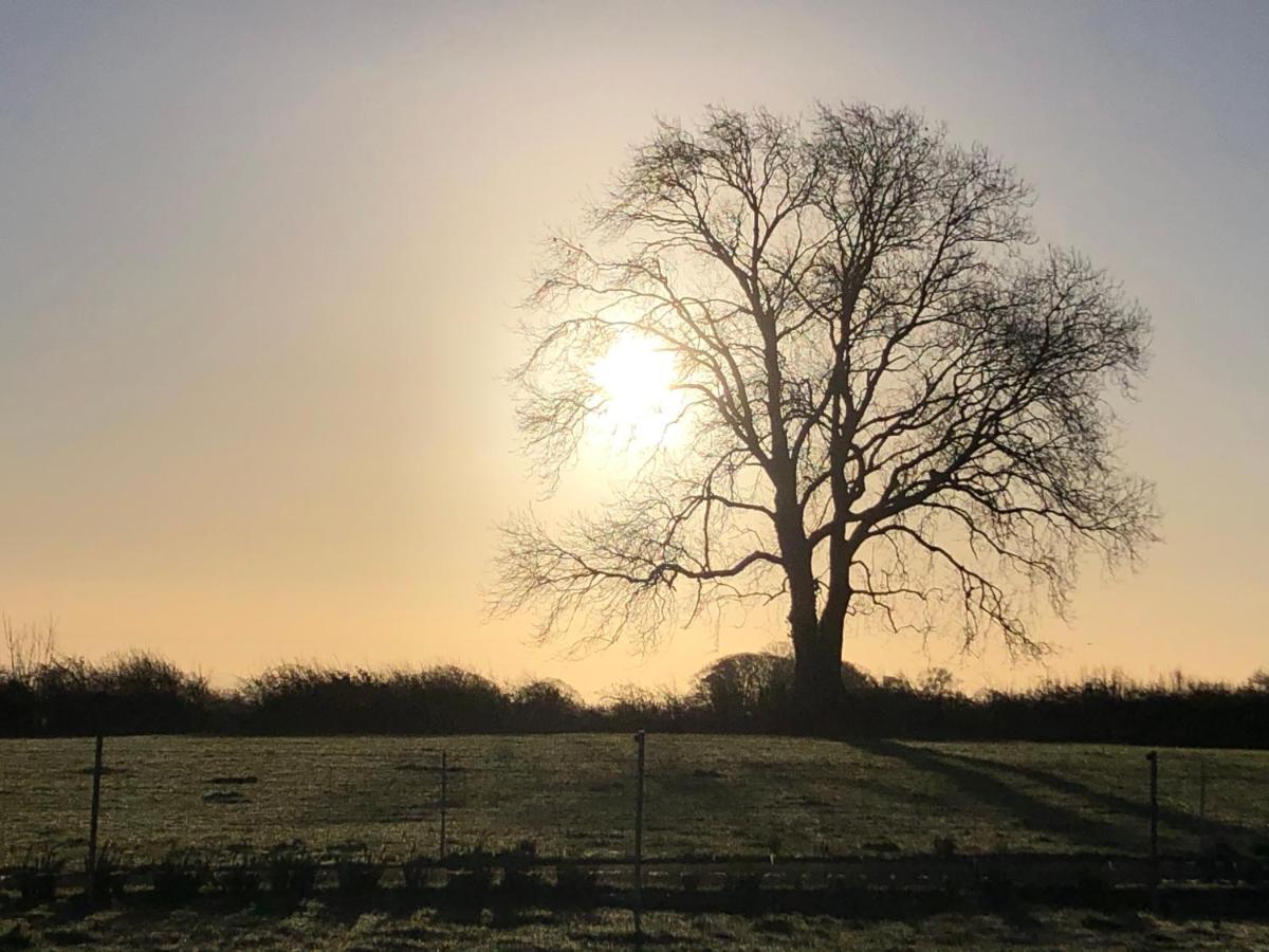 Knockreagh Farm Cottages, Callan, キルケニー エクステリア 写真