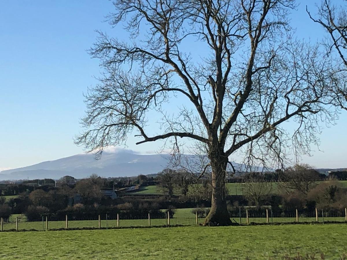 Knockreagh Farm Cottages, Callan, キルケニー エクステリア 写真