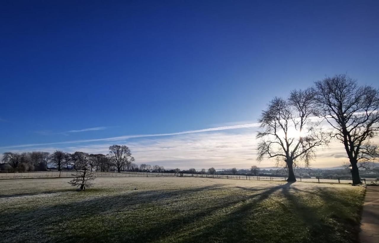 Knockreagh Farm Cottages, Callan, キルケニー エクステリア 写真