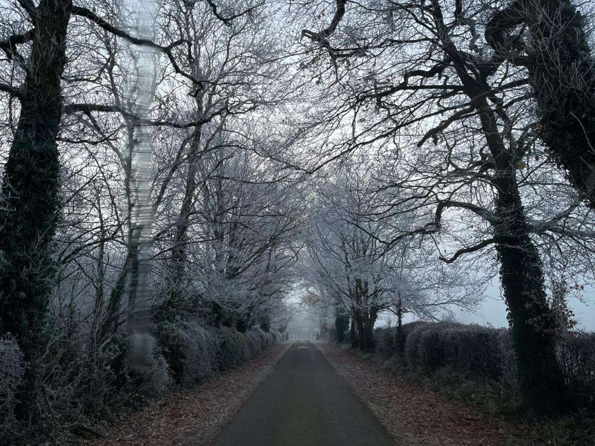 Knockreagh Farm Cottages, Callan, キルケニー エクステリア 写真