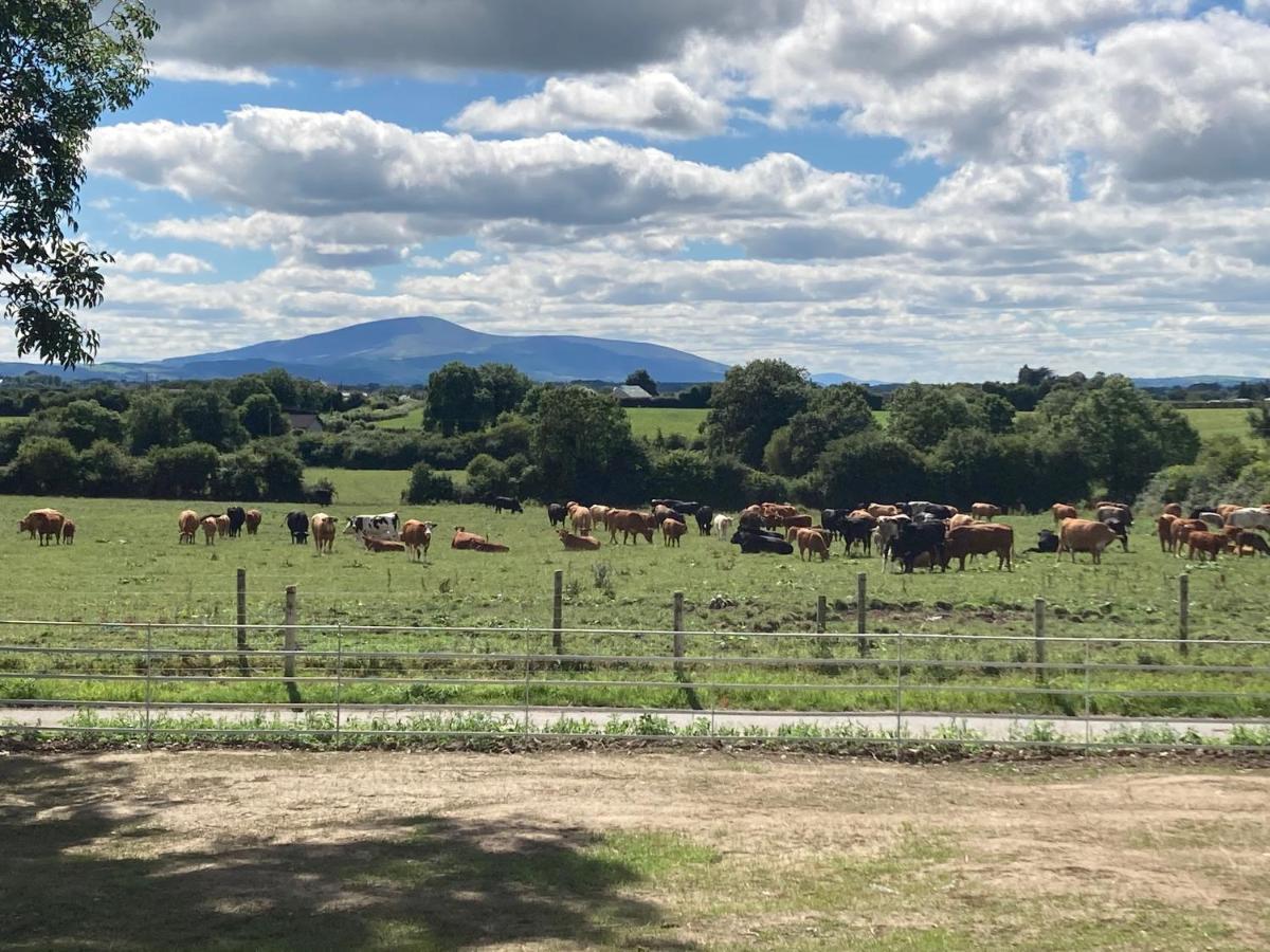 Knockreagh Farm Cottages, Callan, キルケニー エクステリア 写真